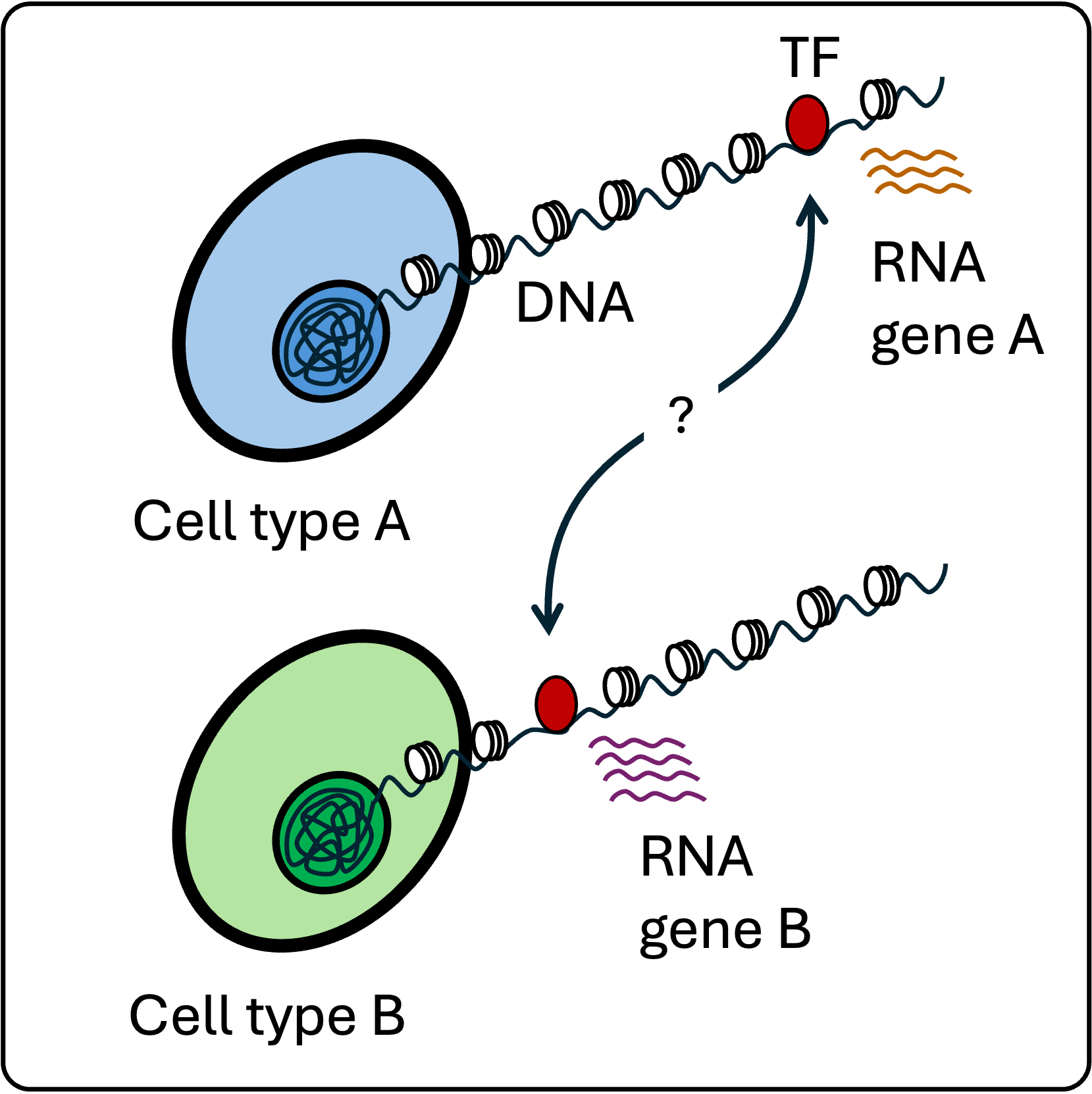 TF binding site selection